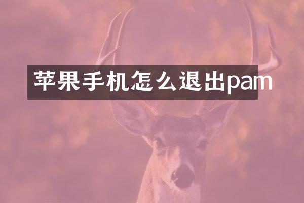 苹果手机怎么退出pam