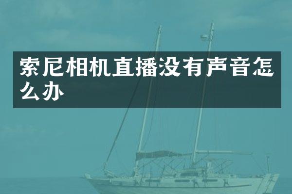 索尼相机直播没有声音怎么办