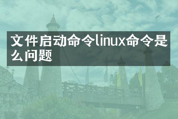 文件启动命令linux命令是什么问题