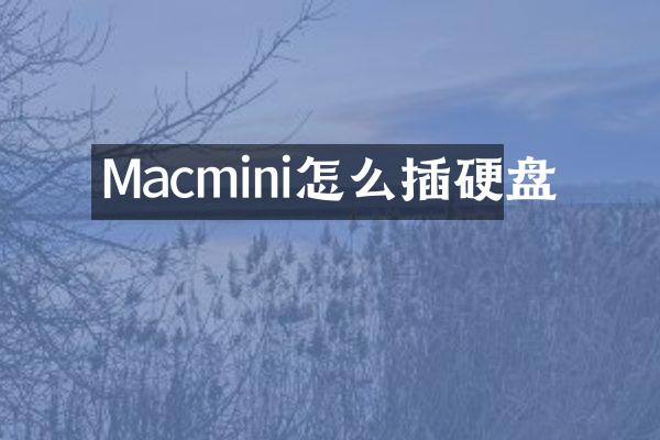 Macmini怎么插硬盘