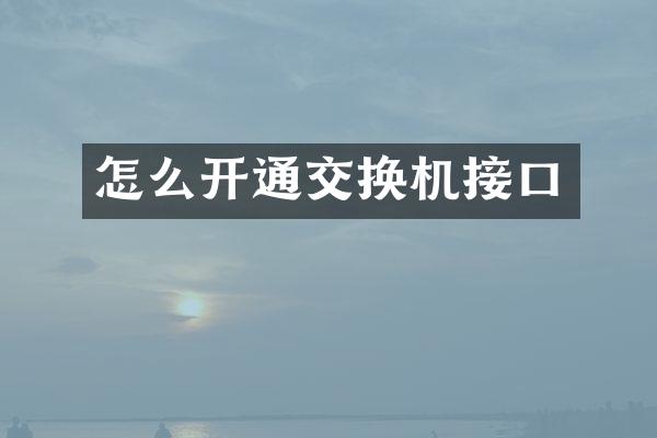 怎么开通交换机接口