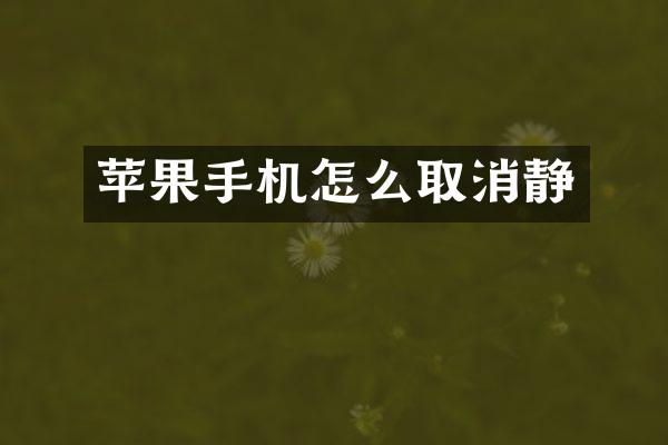 苹果手机怎么取消静