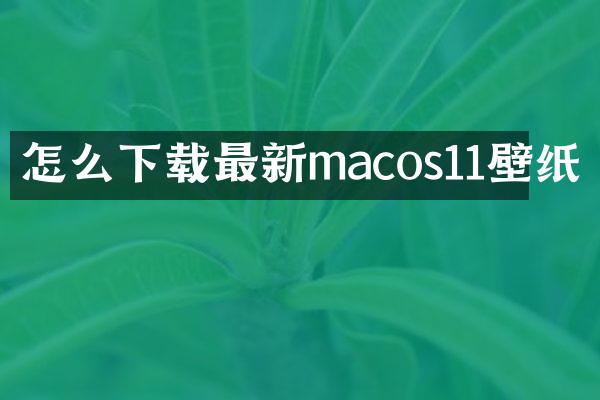 怎么下载最新macos11壁纸