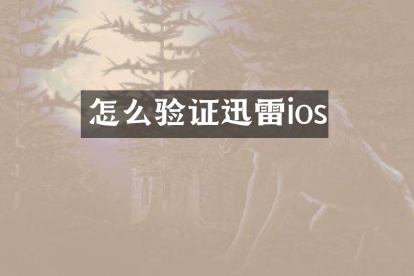 怎么验证迅雷ios
