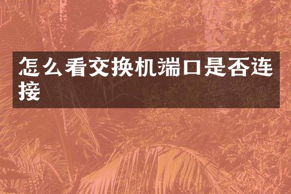 怎么看交换机端口是否连接