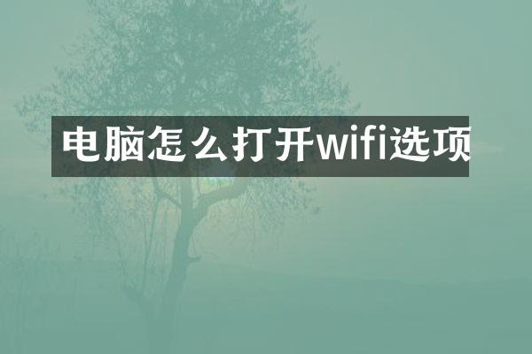 电脑怎么打开wifi选项