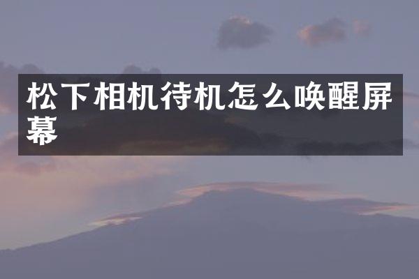 松下相机待机怎么唤醒屏幕
