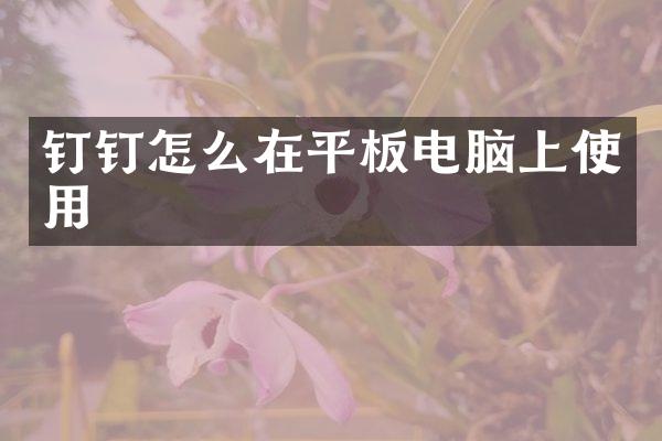 钉钉怎么在平板电脑上使用