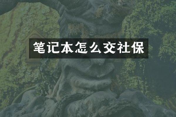 笔记本怎么交社保