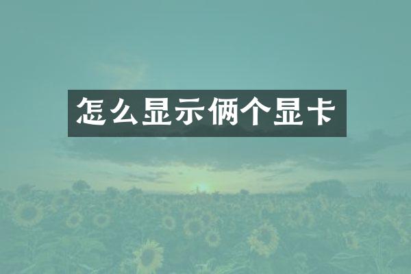 怎么显示俩个显卡