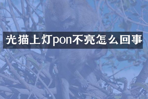 光猫上灯pon不亮怎么回事