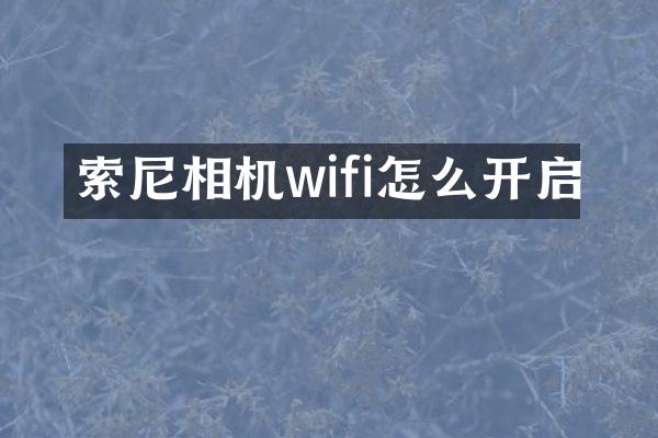索尼相机wifi怎么开启