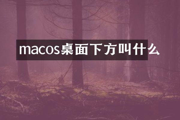 macos桌面下方叫什么