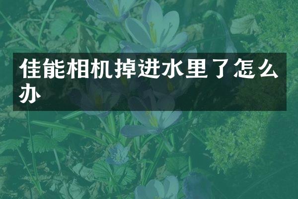 佳能相机掉进水里了怎么办