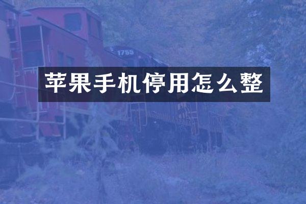 苹果手机停用怎么整