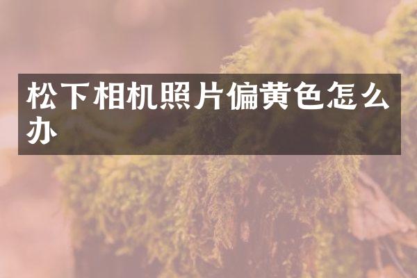 松下相机照片偏黄色怎么办