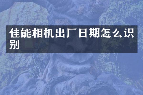 佳能相机出厂日期怎么识别