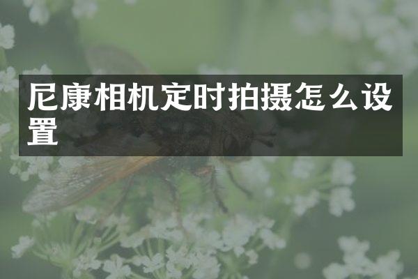 尼康相机定时拍摄怎么设置