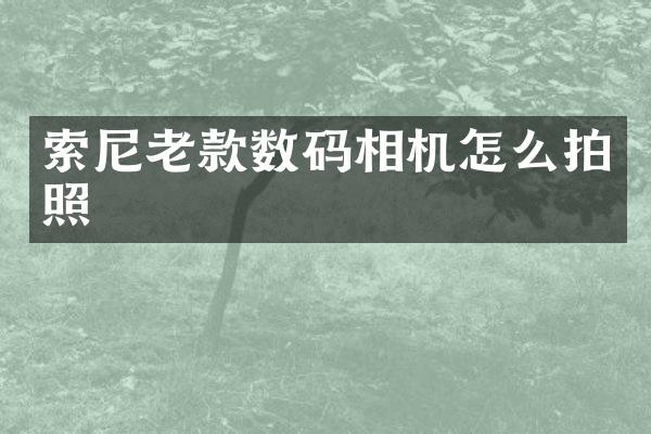 索尼老款数码相机怎么拍照