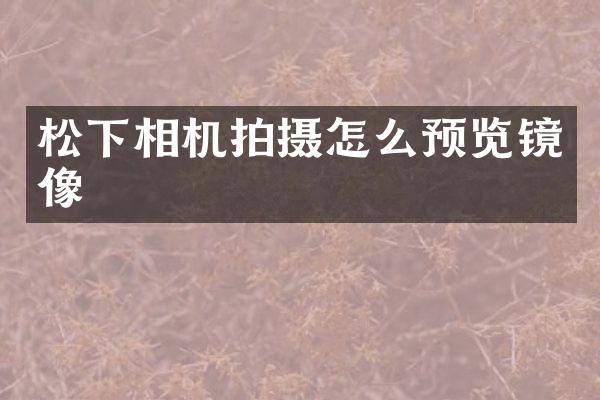 松下相机拍摄怎么预览镜像