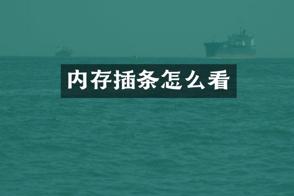 内存插条怎么看