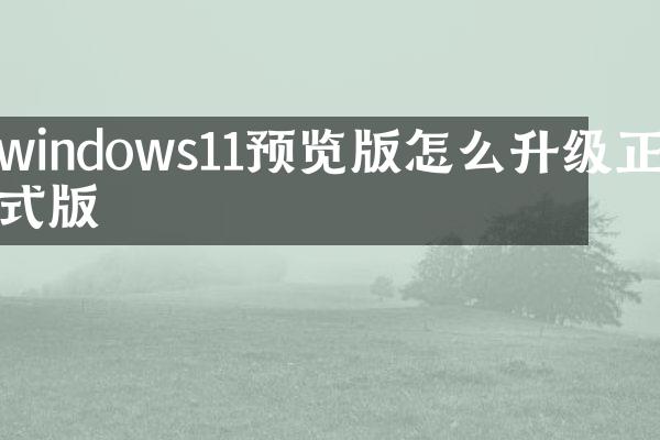 windows11预览版怎么升级正式版