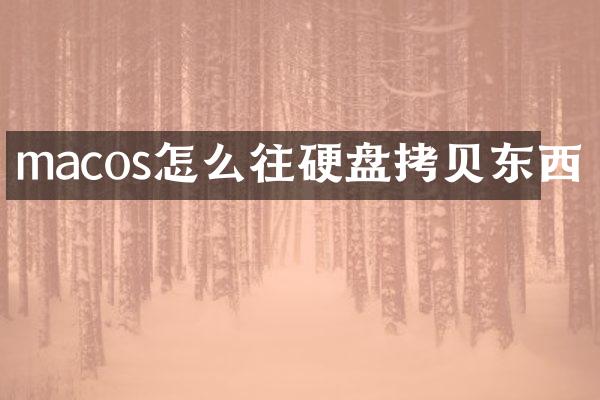 macos怎么往硬盘拷贝东西