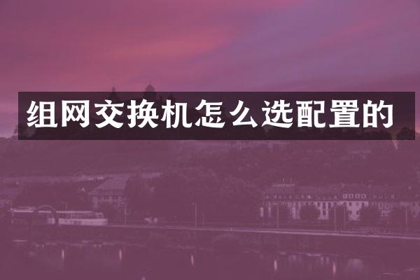 组网交换机怎么选配置的