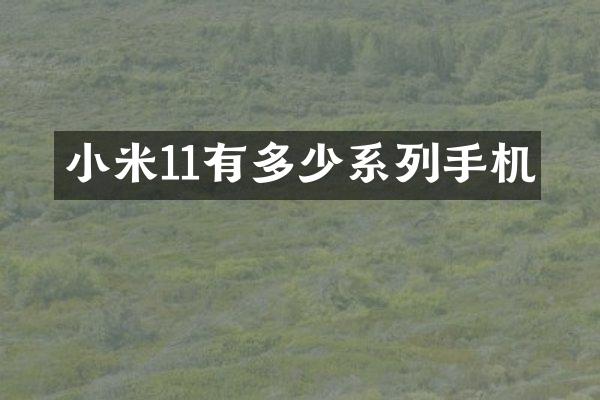 小米11有多少系列手机