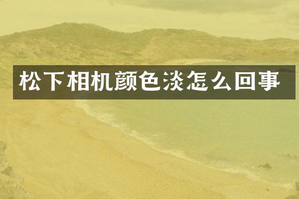 松下相机颜色淡怎么回事