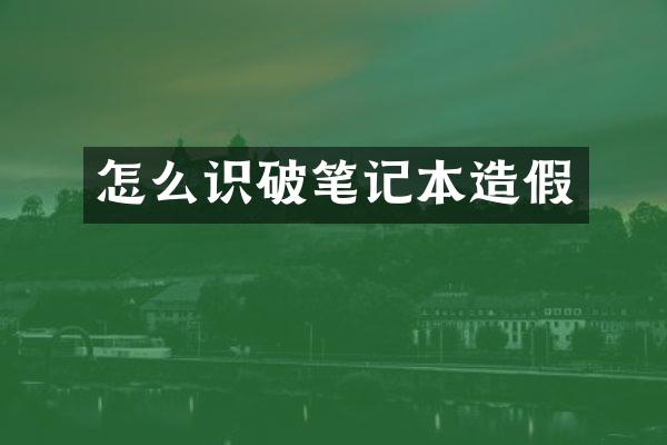 怎么识破笔记本造假