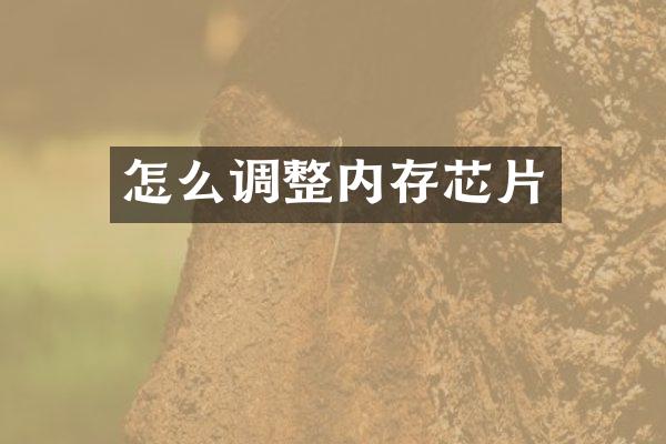 怎么调整内存芯片
