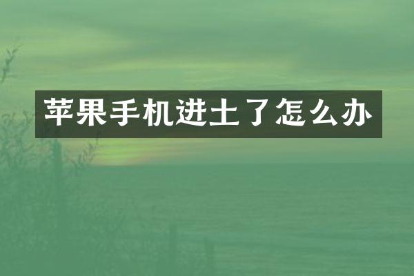 苹果手机进土了怎么办