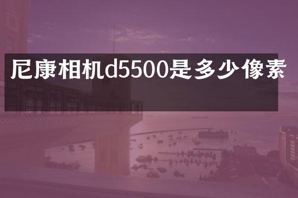 尼康相机d5500是多少像素的