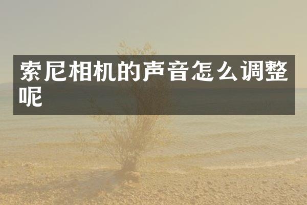 索尼相机的声音怎么调整呢