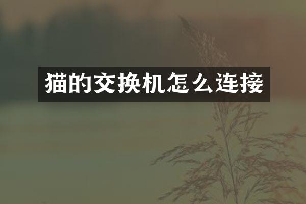 猫的交换机怎么连接