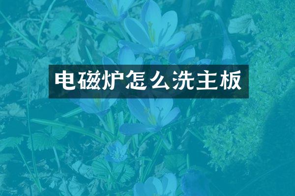 电磁炉怎么洗主板