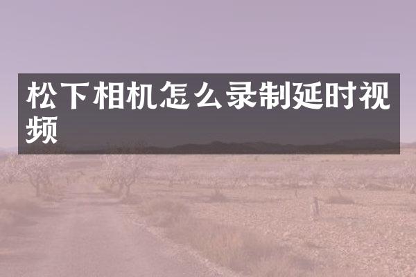 松下相机怎么录制延时视频
