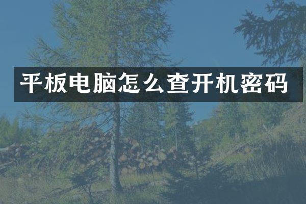 平板电脑怎么查开机密码
