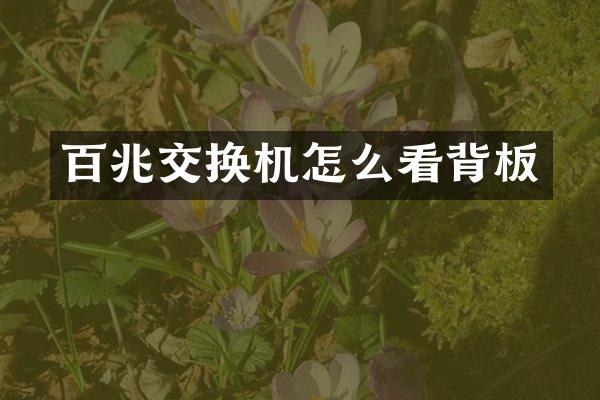 百兆交换机怎么看背板