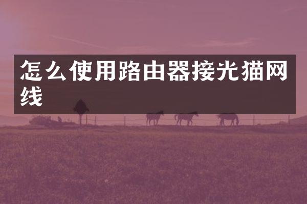 怎么使用路由器接光猫网线