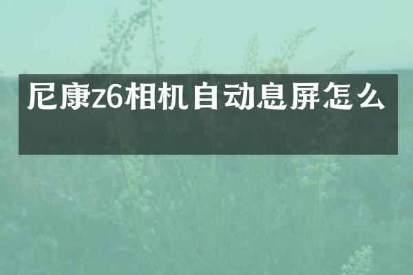 尼康z6相机自动息屏怎么关