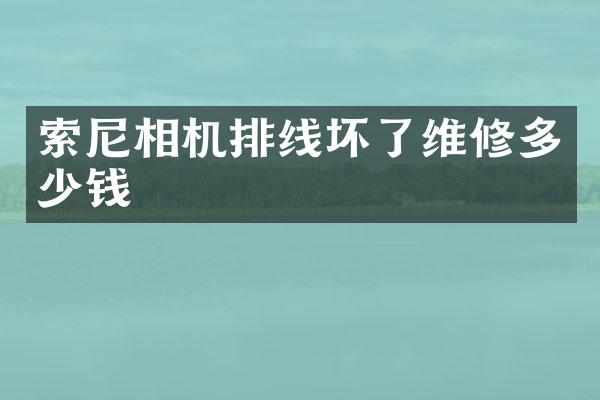 索尼相机排线坏了维修多少钱