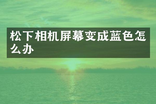 松下相机屏幕变成蓝色怎么办