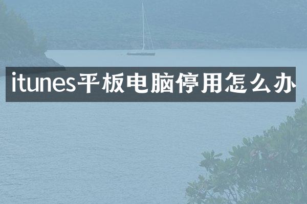 itunes平板电脑停用怎么办