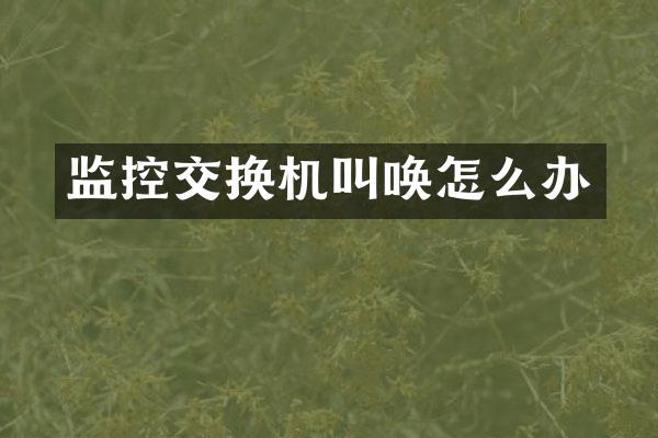 监控交换机叫唤怎么办