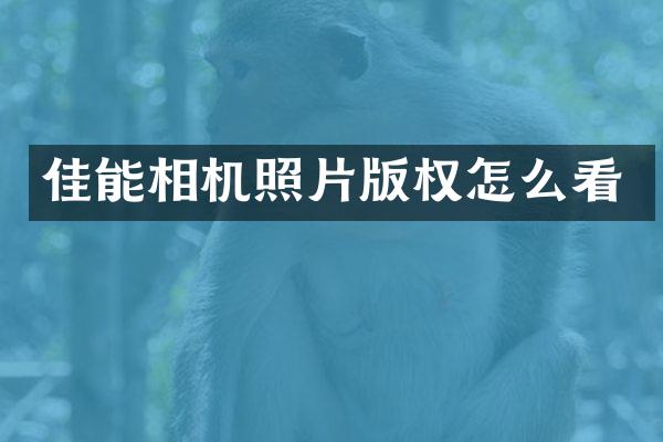 佳能相机照片版权怎么看
