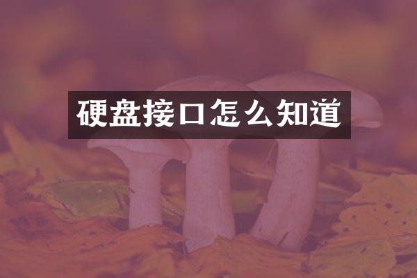 硬盘接口怎么知道