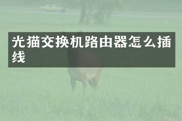 光猫交换机路由器怎么插线