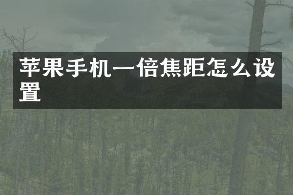苹果手机一倍焦距怎么设置